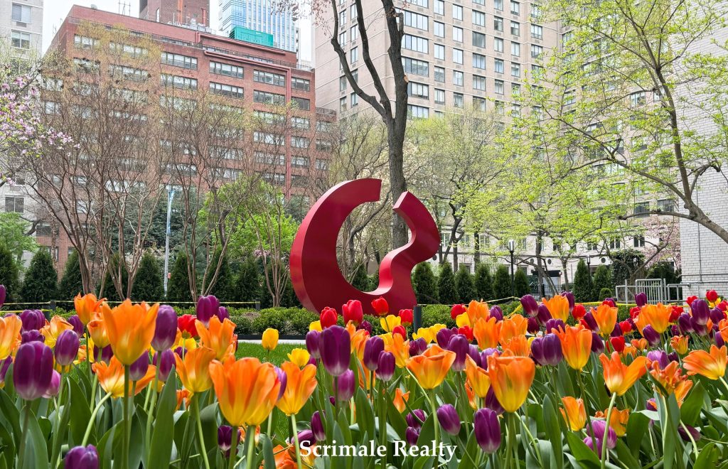 new-garden-red-taken-by-shelli-scrimale-watermark